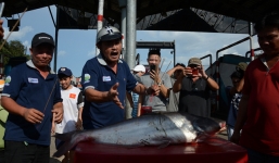 Chốt phương án giảm 20\% giá vé qua trạm BOT Biên Hòa sau sự cố tiền lẻ