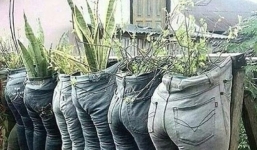 Những ý tưởng làm vườn có 1-0-2 đến các bác nông dân cũng phải 'ngả mũ bái phục'