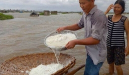 Nước ngập trắng đồng, diêm dân nháo nhào đi cứu muối trong biển nước