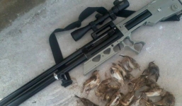 Ngồi học trong nhà, học sinh lớp 5 bị bắn trúng đầu