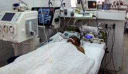 Bị ong lạ đốt, người đàn ông 63 tuổi bị ngưng tim, chết não