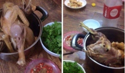 Ngao ngán trào lưu khoe cơm giá rẻ, bà mẹ cao tay khoe bữa ăn 5.000 đồng siêu chất