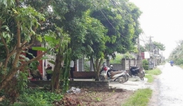 Hy hữu: Dây điện rơi trúng người, một phụ nữ tử vong tại chỗ