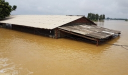 Mưa lũ lịch sử: 52 người chết, 21 người mất tích, di dời 200.000 người dân (Cập nhật)