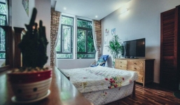 Căn villa độc đáo mang hơi thở rừng nhiệt đới