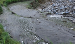 Chết lặng sau cuộc gọi: 'Cậu ơi về ngay đi, nhà 5 người bị lũ cuốn hết rồi'