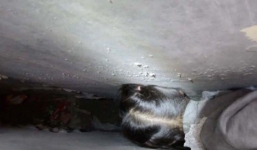 Bé 6 tuổi bị kẹp đầu giữa hai bức tường ở trường học