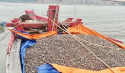 Ngư dân Hà Tĩnh trúng đậm 'lộc biển' sau mưa lũ