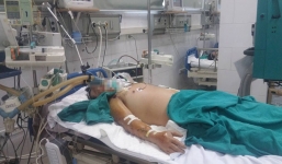 Hy hữu: Nhập viện trong tình trạng nguy kịch vì bị gà mổ, lợn đạp