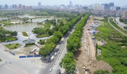 Hà Nội chuẩn bị chặt hạ, di dời gần 1.300 cây cổ thụ đường Phạm Văn Đồng