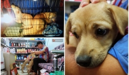 Clip 2 chú chó bị kéo lê đến chảy máu trên đường phố và đoạn kết đẹp từ sự 'bao đồng' của người Sài Gòn