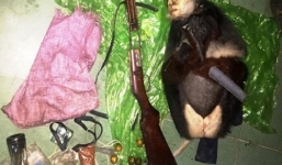 Công an truy tìm 2 đối tượng nghi sát hại voọc chà vá chân nâu cực hiếm