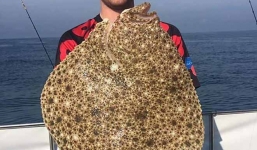 Người đàn ông suýt chết vì...hôn cá