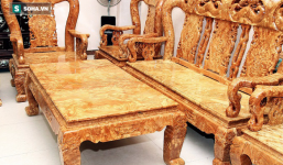 Vì sao cây gỗ trả giá 1 triệu USD không bán ở Thanh Hóa lại được xem là 'báu vật'?