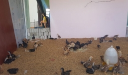 Chủ tịch huyện nêu lý do rời khỏi phòng đối thoại vì có mặt phóng viên