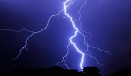 Người đàn ông bị sét đánh cháy đen khi đi thăm vườn