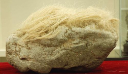 Mang 'cục đá mọc tóc trắng” kỳ dị về nhà, người đàn ông giật mình khi phát hiện ra sự thật