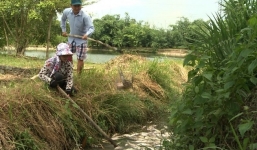 Cá chết trắng bờ đập Hồ Chuối không rõ nguyên nhân