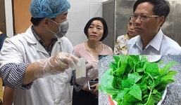 Phát hiện rau mồng tơi tồn dư thuốc trừ sâu trong bếp ăn của trẻ mầm non