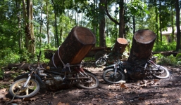 Truy tìm nhóm lâm tặc chém trọng thương cán bộ bảo vệ rừng