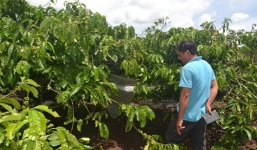 Anh trai dùng dao chém người đàn ông cưỡng hiếp em gái mình