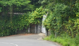 Chủ tịch Đà Nẵng lần đầu nói về lô biệt thự 'tuyệt mật' trên núi Sơn Trà