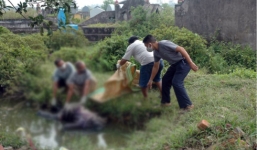 Phát hiện thi thể nam thanh niên đang phân hủy trong ao