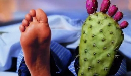 Căn bệnh 'nhà giàu' gây đau đớn khủng khiếp: Đừng quên 10 nguyên tắc để phòng tránh