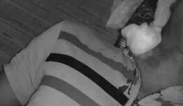 Công an vào cuộc vụ đạn lạc trúng cổ nam thanh niên ở Hòa Bình