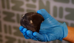 Tức giận vì bị cục đá rơi phá trang trại, người đàn ông không ngờ mình vớ được của hiếm