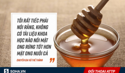 Sự thật về mật ong giả, mật ong thật, mật ong rừng, mật ong nuôi, mật ong đóng đường...