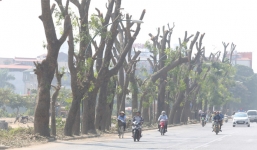 Đường Phạm Văn Đồng chìm trong nắng bụi khi bắt đầu chặt hạ 1300 cây xanh