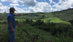 Đắk Nông: Vợ Bí thư huyện nhận đất rừng trái quy định