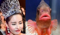 Mẹ Hoa hậu đại dương vô cùng đau lòng khi con gái bị ghép ảnh với cá