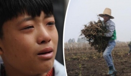 Cảm động cậu bé 12 tuổi bỏ học đi dỡ lạc thuê kiếm tiền chữa bệnh cho mẹ