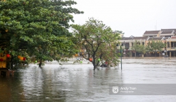 Chùm ảnh: Hội An nước ngập thành sông do ảnh hưởng của bão, người dân và du khách chật vật dùng thuyền bè di chuyển