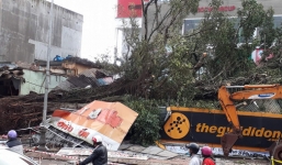 Cây đa cổ thụ bật gốc, đè bẹp cửa hàng Thế giới di động trong đêm