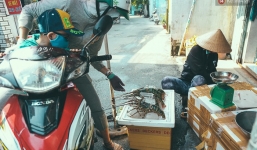 Mang tôm hùm từ vùng tâm bão số 12 lên Sài Gòn, người nuôi nghẹn ngào bán với giá rẻ