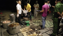 Công sát nổ súng bắt nhóm người nấu cao một con hổ hơn 200kg