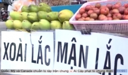 Rùng mình món xoài lắc khoái khẩu ướp… mồ hôi tay siêu bẩn