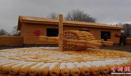 Nông dân xây nhà bằng 20.000 bắp ngô khiến hàng xóm choáng váng