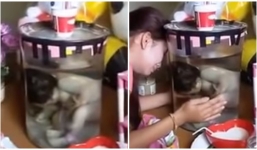 Con nhỏ đột ngột qua đời, người mẹ không chôn cất mà ngâm trong bình nước