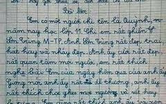 Lời phê 'bá đạo' của thầy giáo khi học sinh muốn làm cướp ngân hàng