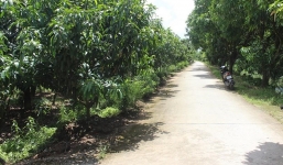 Phó Chủ tịch TP Cao Lãnh nộp lại 237 triệu đồng