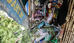 Hà Nội: Cây xanh bất ngờ đổ đè bẹp xe ô tô, nhiều người may mắn thoát chết