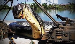 Thực hư bức hình 'rắn khổng lồ ăn thịt người' ở Iran xôn xao MXH