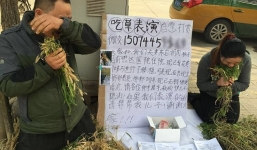 Cặp vợ chồng quỳ bên đường ăn cỏ, nguyên nhân khiến ai cũng xót xa