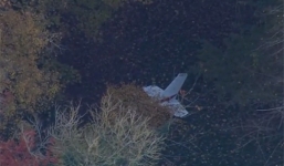 Bộ Quốc phòng thông tin chính thức vụ phi công Việt tử nạn ở Anh