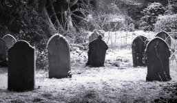 Những công việc đáng sợ nhất thế giới không phải ai cũng dám làm