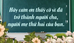 Có thể bạn đã quên cảm ơn thầy cô mình vì rất nhiều điều